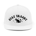 Stay Trashy Snapback Hat — Funny Raccoon Graphic Cap